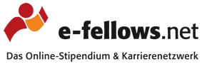 e-fellows.net